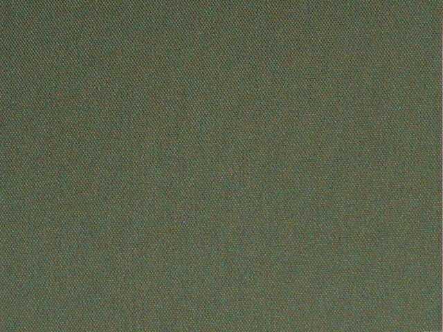 RPE0P-257